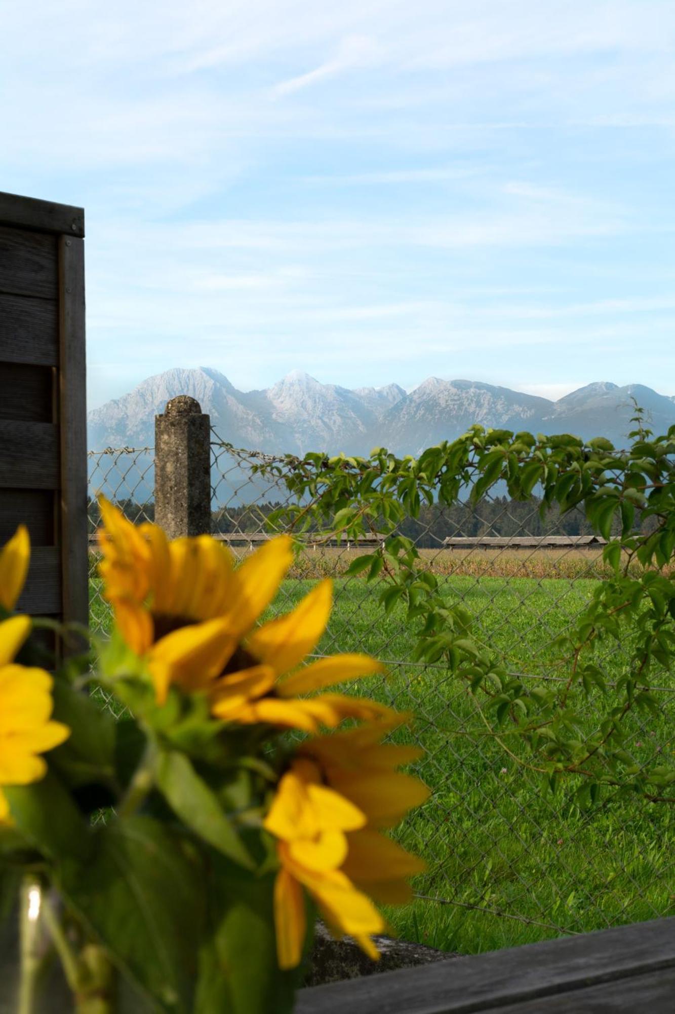 Glamping With A View Villa Smlednik Exterior foto